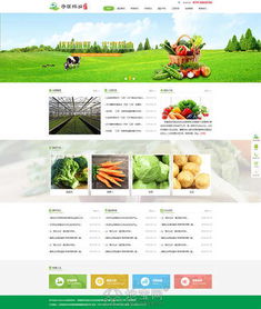 南昌企業(yè)建站需要多少錢(qián) 南昌企業(yè)制作做個(gè)網(wǎng)站要多 南昌網(wǎng)站制作