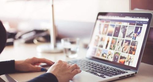 成都企業網站建設過程中如何確保網站特色